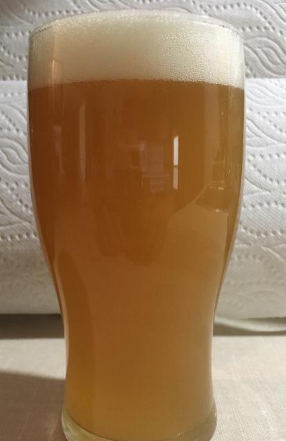 15-Kveik Hazy IPA 5.7%, Hunter & El Tru Homebrew, Canada