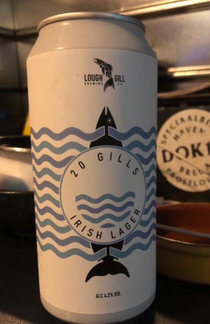 20 Gills 4.2%, Lough Gill Brewing Co., Ireland