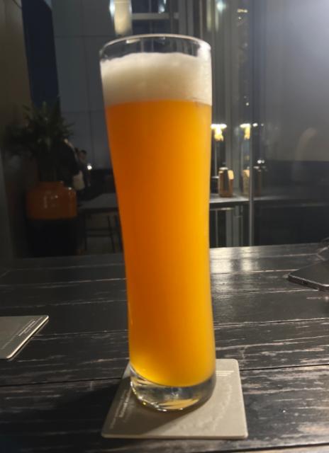 33.9 Wheat Beer, LeVeL33