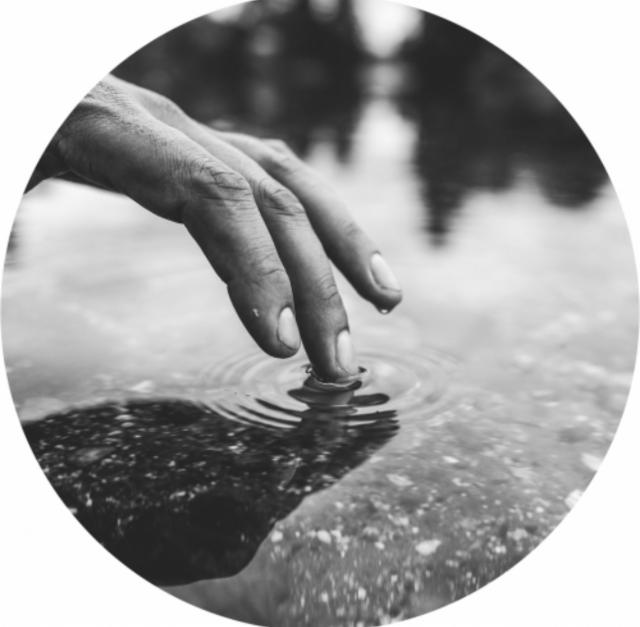 33 Acres Of Echo 4.5%, 33 Acres Brewing Co., Canada