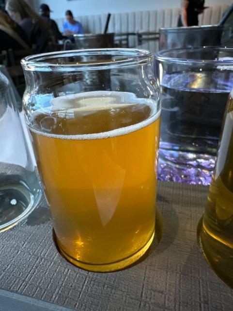 810 LASHES AUSSIE PALE ALE 4.5%, Blake Brewhouse & Distillery, Canada
