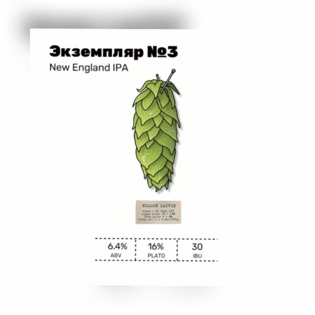 Ekzemplyar №3 / Экземпляр №3 6.4%, White Stone Brewery, Russia