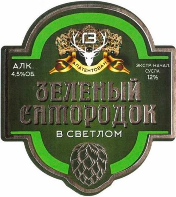 Zelenyi Samorodok / Зеленый Самородок 4.5%, Pankrat / Панкрат, Russia