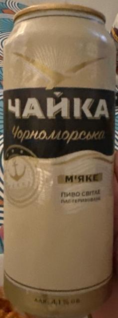 Чайка Чорноморська 4.1%, Radomyshl / Радомишль, Ukraine