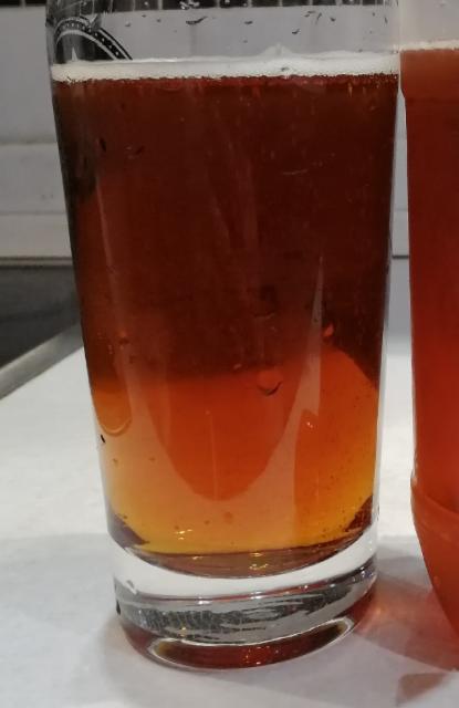 Kazachiy Us (Yachmenniy Lager) / Казачий Ус (Ячменный Лагер) 4.8%, Baltika Brewery / Пивоваренная компания Балтика, Russia