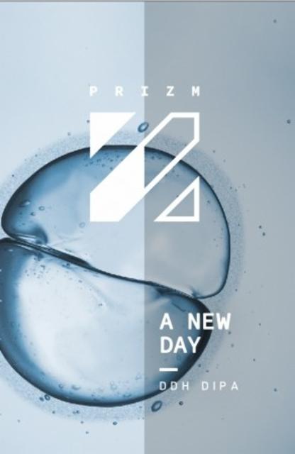 A New Day 8.0%, Prizm Brewing Co., France