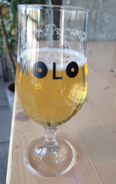 Abbey Summer Hazy IPA 8.1%, Molo Brew, Norway