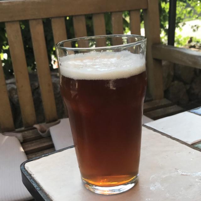 Academia Blonde 5.2%, Academia 2.0, Slovenia