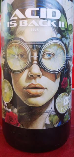 acid is back Ii 4.8%, Brasserie HooDo, France