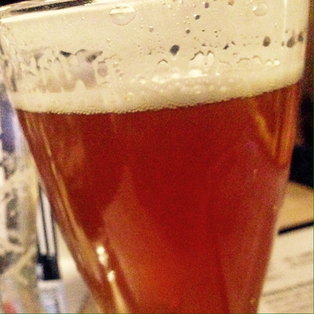 Acoustic Kitty 7.7%, South Street Brewery, United States