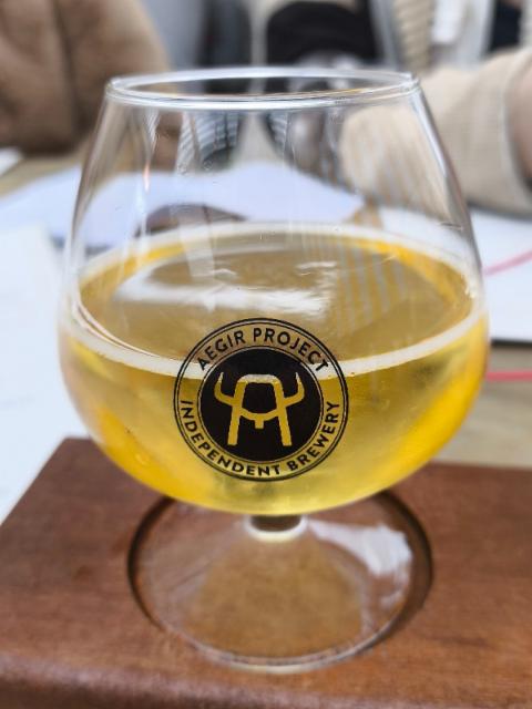 aegier mexican lager 4.6%, Aegir Project, South Africa