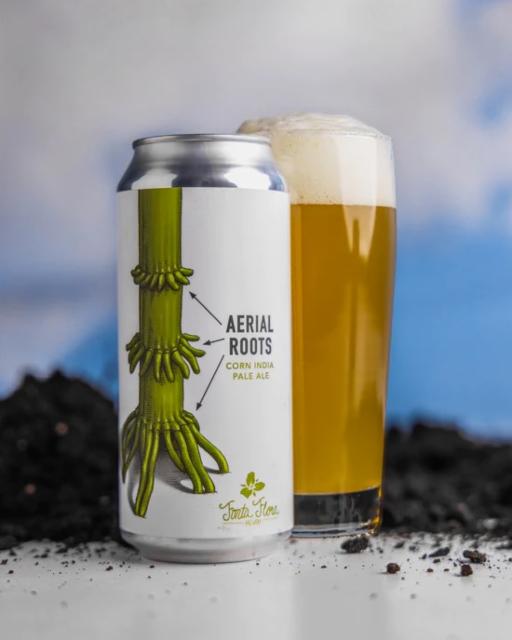 Aerial Roots 7.0%, Trillium Brewing Company, United States