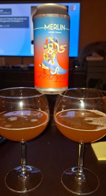 Ahtanum 6.8%, Merlin Brewing Company, France