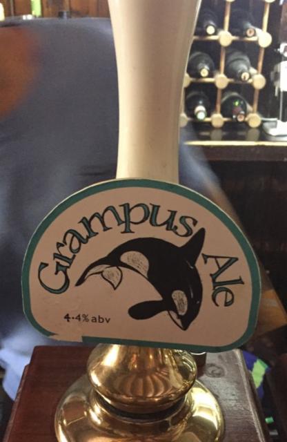 Ale 4.4%, Grampus Brewery, England