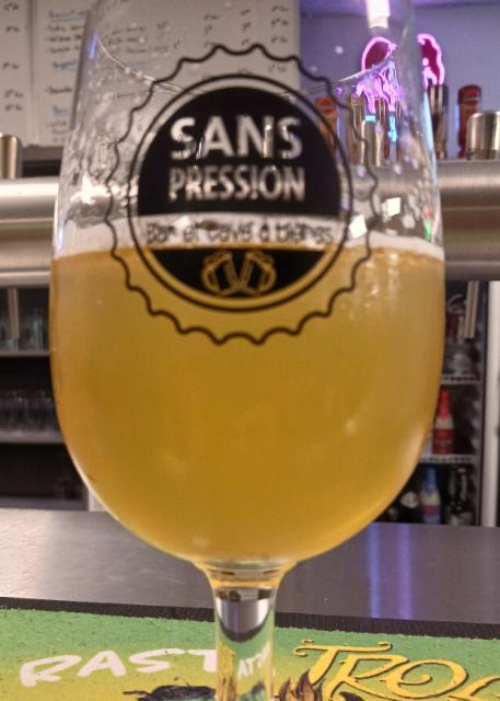 Ale And Hop Blik 3.3%, Brouwerij de Molen, Netherlands