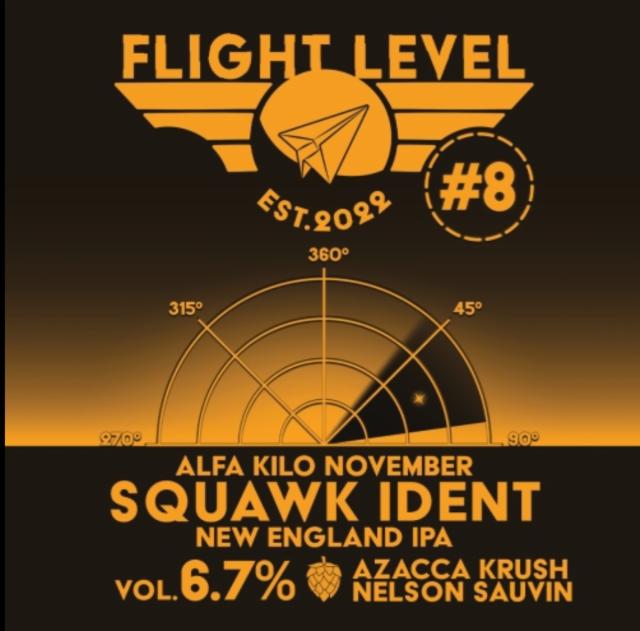Alfa Kilo November Squawk Ident #8, Flight Level Brewing