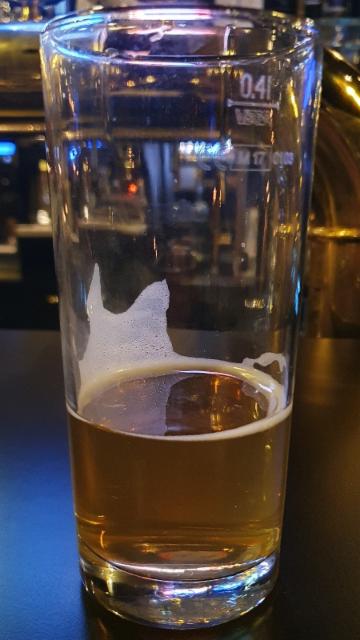 Alfred Ale 5.2%, Malmgårdin Panimo, Finland