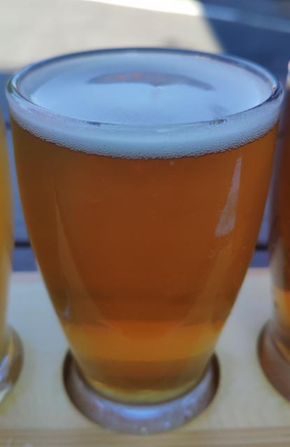 All Hopy on the Western Front 8.0%, Brewery 26, United States