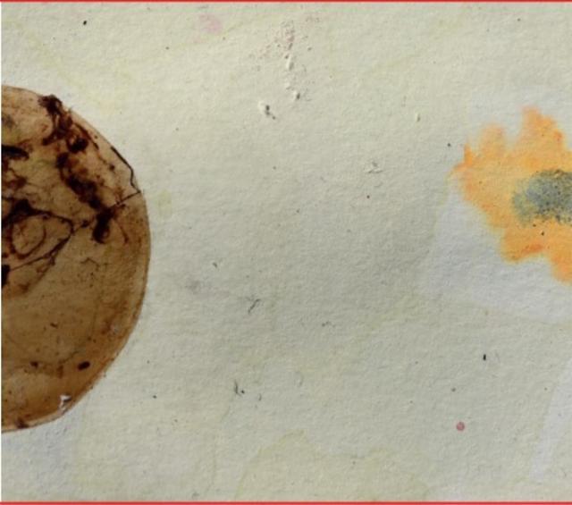 Allochtone 6.7%, Brasserie La Malpolon, France