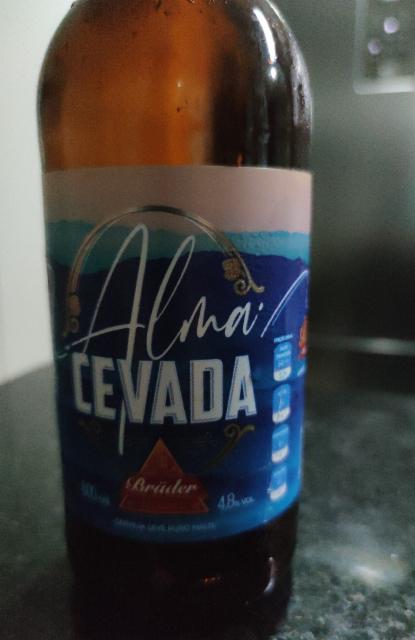 Alma cevada 4.8%, Cervejaria Brüder, Brazil