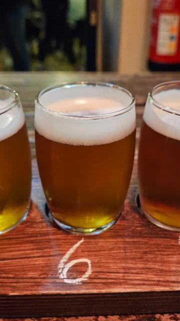 Alpha 6.5%, Duque Brewpub, Portugal