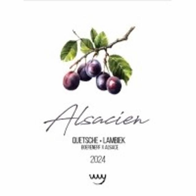 Alsacien 2024 6.0%, Boerenerf, Belgium