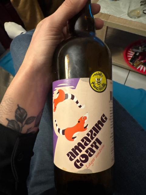 Amazing Coati, Oka River