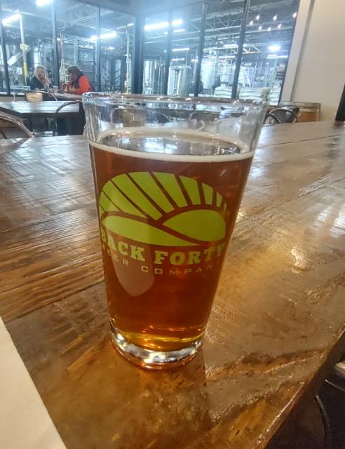 Amber Lager 5.3%, Back Forty Beer Company, United States