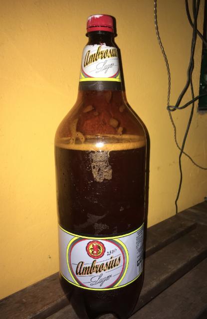 Ambrosius Lager 4.0%, Kaufland, Germany