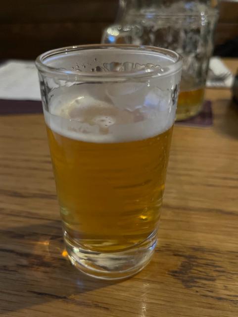 American Lager 11 4.8%, Kamenice nad Lipou, Czech Republic