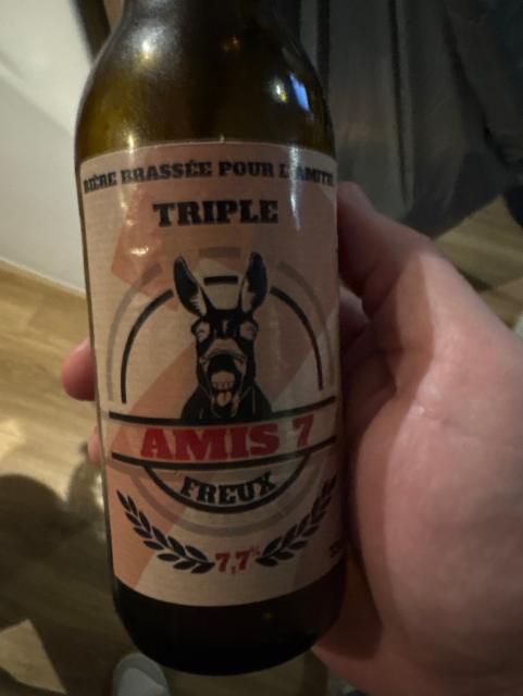 Amis 7 freux 7.7%, Brasserie Philippe, Belgium