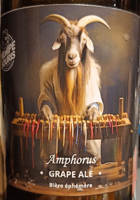 amphorus 7.0%, Brasserie De La Divatte (Trompe-Souris), France