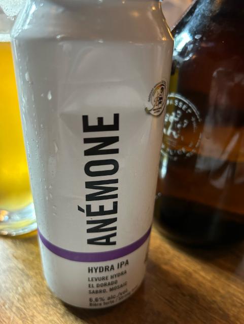 Anemone 6.6%, 3 Brasseurs Canada, Canada