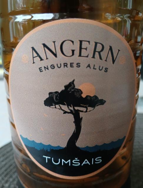 Angern Tumšais, Mazjūras brūzis