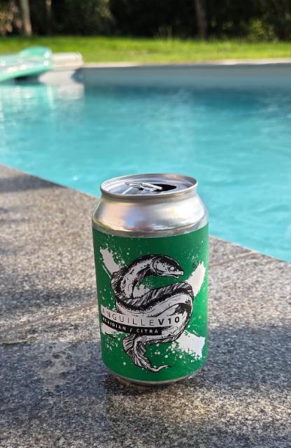 Anguille v10 6.1%, La Source Beer Co., Belgium
