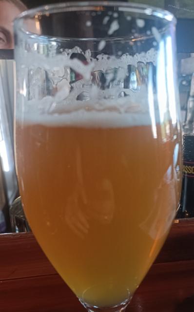 Ankka Special Ipa 6.0%, Suomenlinnan Panimo, Finland