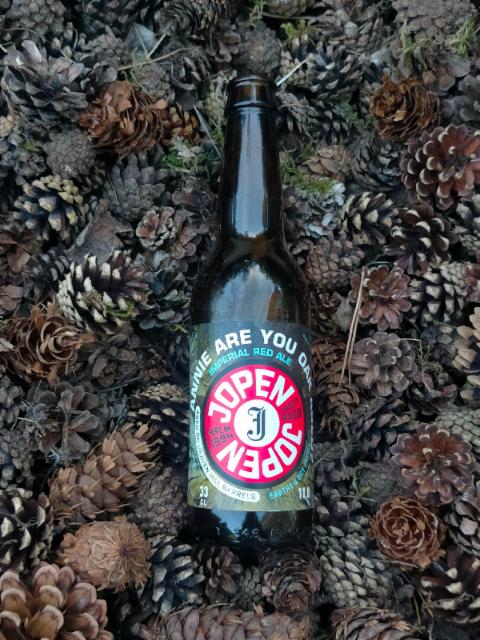 Annie Are You Oak Aged - BA Imperial Red Ale Heaven Hill 11.0%, Jopen, Netherlands