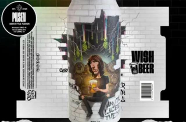 Another Lager in the Wall 5.0%, Wish You Beer, Brazil