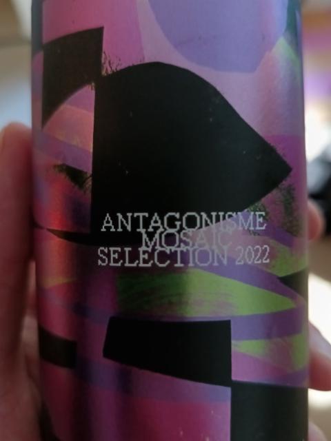 Antagonisme Mosaic Selection 2022, Brasserie Sir John Brewing Co.