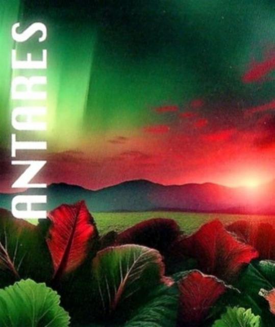 Antares 6.5%, Brasserie Galilée, France