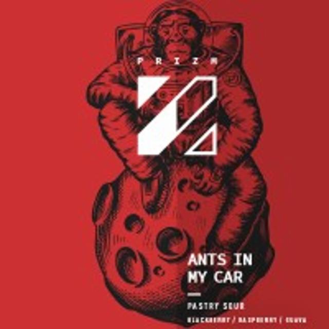 Ants In My Car 6.0%, Prizm Brewing Co., France
