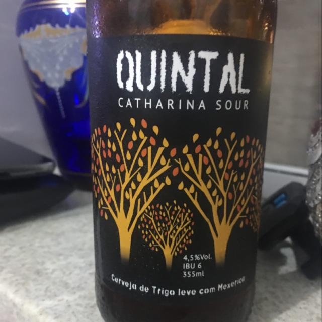 Antuerpia Quintal Catharina Sour Mexirica 4.5%, Companhia Mineira Industria E Comercio De Bebidas Ltda (Antuerpia), Brazil