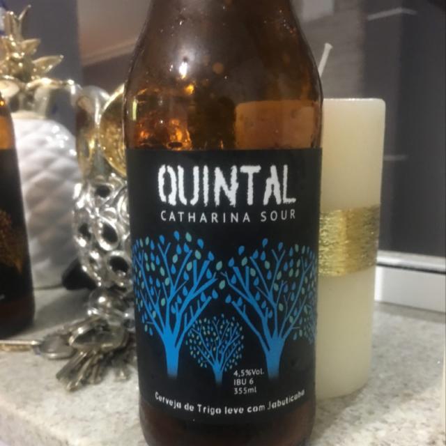 Antuerpia Quintal Catharina Sour Jaboticaba 4.5%, Companhia Mineira Industria E Comercio De Bebidas Ltda (Antuerpia), Brazil