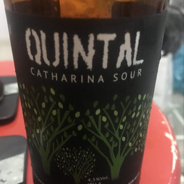 Antuerpia Quintal Catharina Sour Morango Hibisco 4.5%, Companhia Mineira Industria E Comercio De Bebidas Ltda (Antuerpia), Brazil