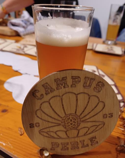 APA Dortmund 4.8%, Campusperle, Germany