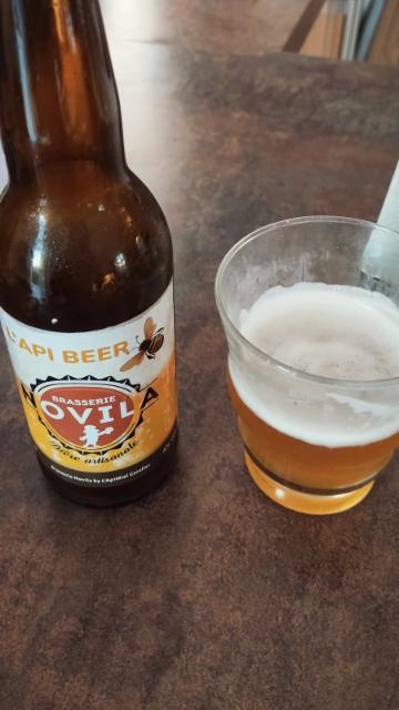 API Beer 4.0%, Brasserie Novila, France