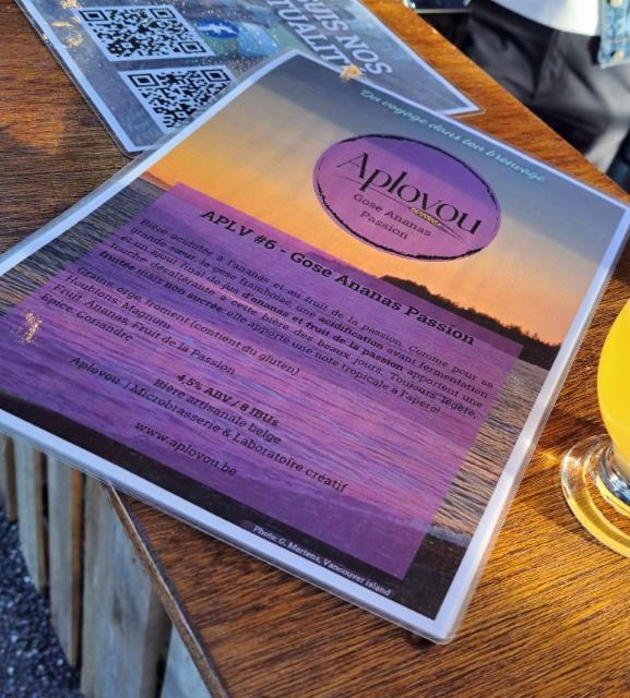 APLV #6 Gose Ananas Passion 4.5%, Aplovou, Belgium