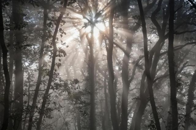 Apocalypse 8.0%, Célestin - La Micro-Brasserie Du Vieux-Lille, France