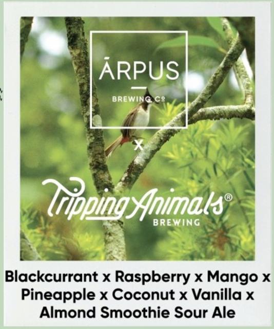 Blackcurrant x Raspberry x Mango x Pineapple x Coconut x Vanilla x Almond Smoothie Sour Ale 4.5%, Ārpus Brewing Co., Latvia