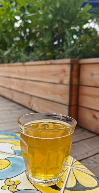 Artisan Lager 4.7%, Solmu Brewery (Sinebrychoff), Finland